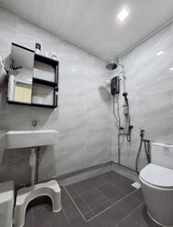 Blk 134 Petir Road (Bukit Panjang), HDB Executive #496598281